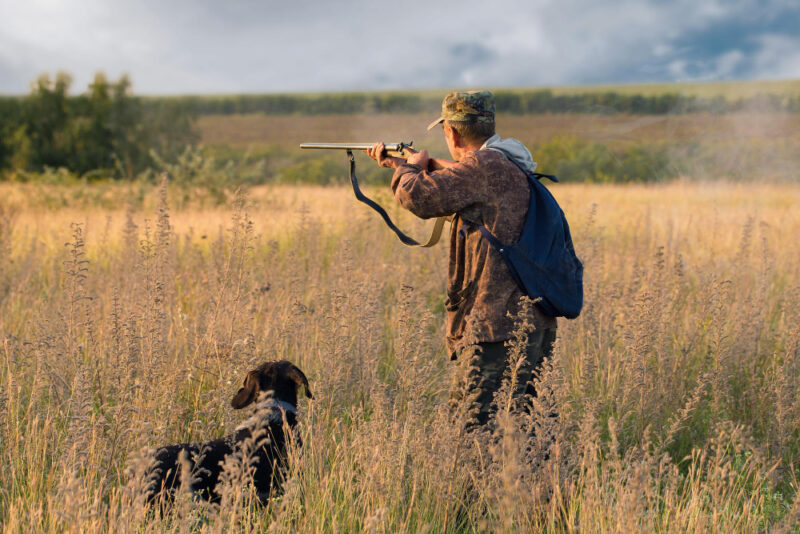 Association de Chasse de Putanges-Pont-Ecrépin Association de Chasse de Putanges-Pont-Ecrépin