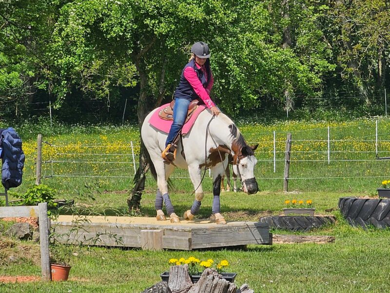 Horse Trail Association Horse Trail Association